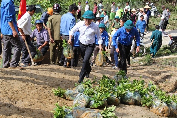 Tuổi trẻ Yên Bái ra quân trồng 100ha chè Shan tuyết ảnh 1