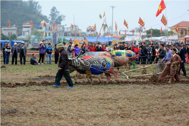 Chủ tịch nước Trần Đại Quang lái máy cày ở Lễ hội Tịch Điền ảnh 12