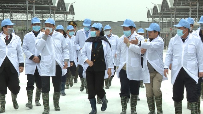Chủ tịch Quốc hội Nguyễn Thị Kim Ngân làm việc với DN ở Thái Bình ảnh 4