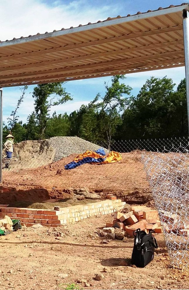Dòng họ Nguyễn Phước kiến nghị giữ và xây lại mộ vợ vua Tự Đức ảnh 2