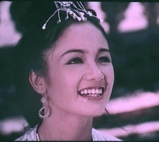 Thu Hà 'Lá ngọc cành vàng' vẫn đẹp rạng ngời dù đã ở tuổi 50 ảnh 2