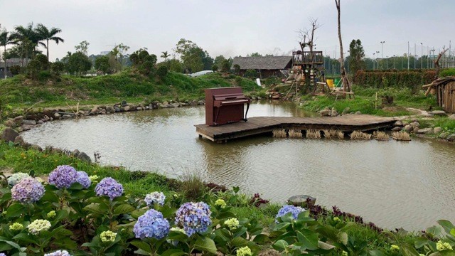 Khai trương công viên hoa 22 ha ngay tại trung tâm Hà Nội ảnh 1