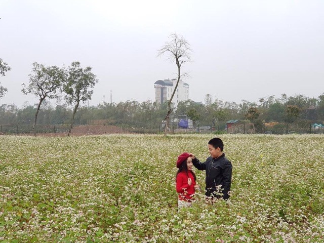 Khai trương công viên hoa 22 ha ngay tại trung tâm Hà Nội ảnh 2
