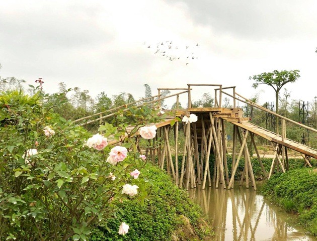 Khai trương công viên hoa 22 ha ngay tại trung tâm Hà Nội ảnh 5
