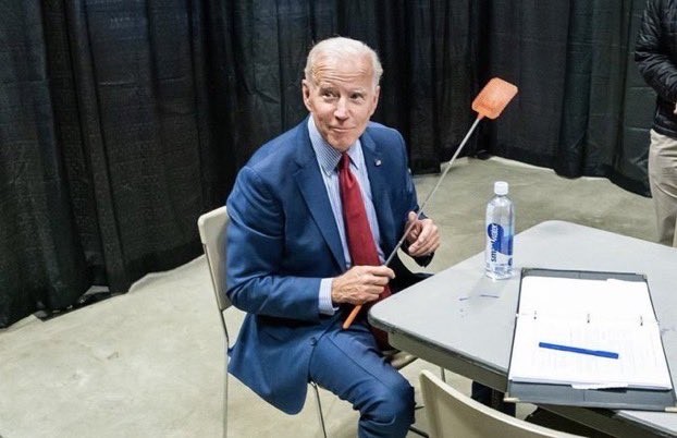 Ứng viên Joe Biden chế giễu vụ ruồi đậu trên tóc Phó Tổng thống Pence ảnh 3