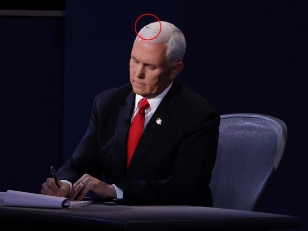 Ứng viên Joe Biden chế giễu vụ ruồi đậu trên tóc Phó Tổng thống Pence ảnh 2