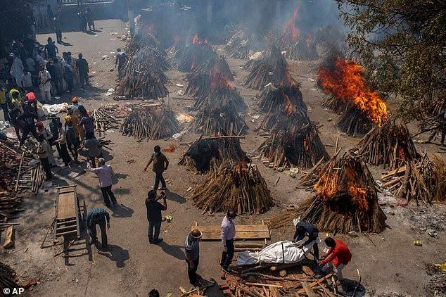 Ấn Độ chặt cây trong công viên thủ đô để hỏa thiêu thi thể bệnh nhân COVID-19 ảnh 1