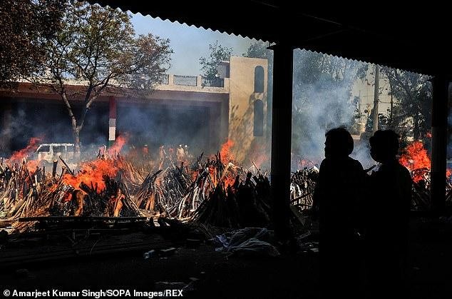 Ấn Độ chặt cây trong công viên thủ đô để hỏa thiêu thi thể bệnh nhân COVID-19 ảnh 9