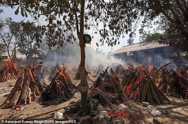 Ấn Độ chặt cây trong công viên thủ đô để hỏa thiêu thi thể bệnh nhân COVID-19 ảnh 7