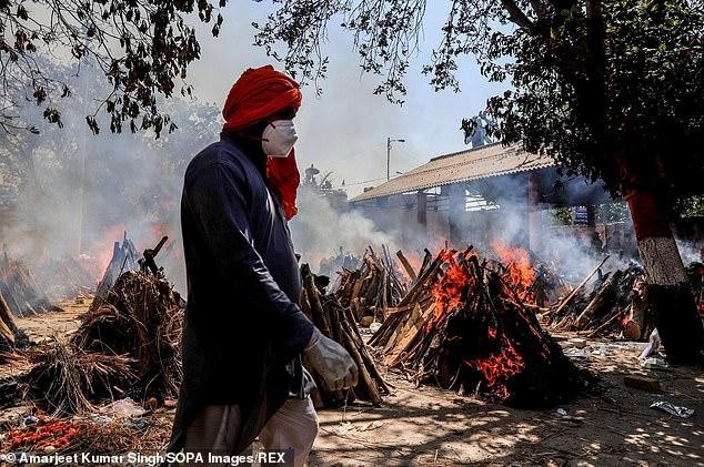 Ấn Độ chặt cây trong công viên thủ đô để hỏa thiêu thi thể bệnh nhân COVID-19 ảnh 5