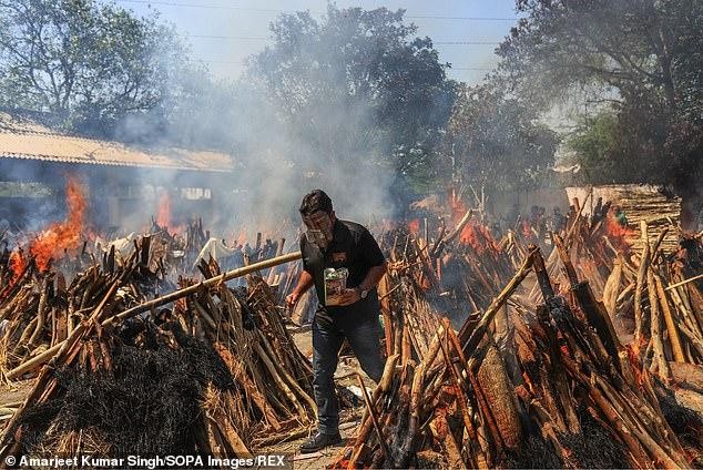 Ấn Độ chặt cây trong công viên thủ đô để hỏa thiêu thi thể bệnh nhân COVID-19 ảnh 6