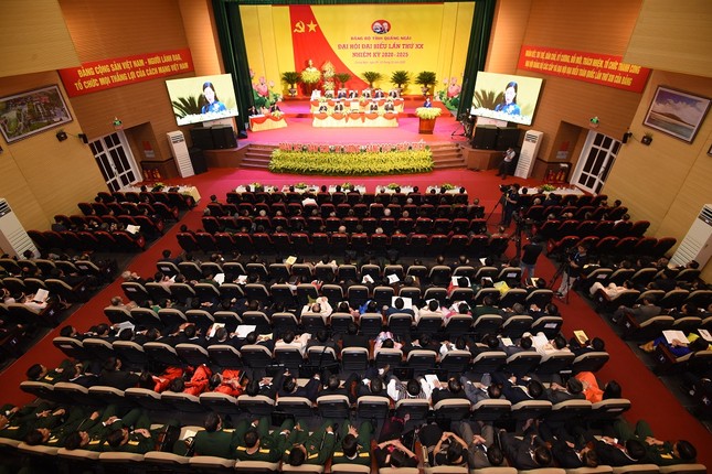 Phấn đấu đưa Quảng Ngãi trở thành tỉnh phát triển của miền Trung năm 2025 ảnh 3