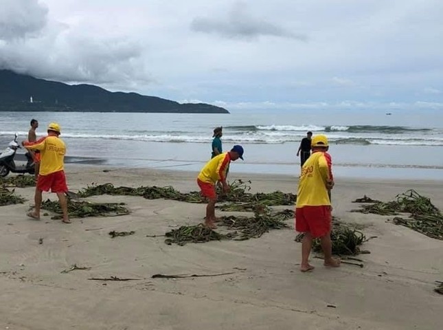 Đà Nẵng: Teen “check-in” Cầu Vàng phiên bản yêu nước, nô nức tắm biển sau bão và COVID-19 ảnh 9
