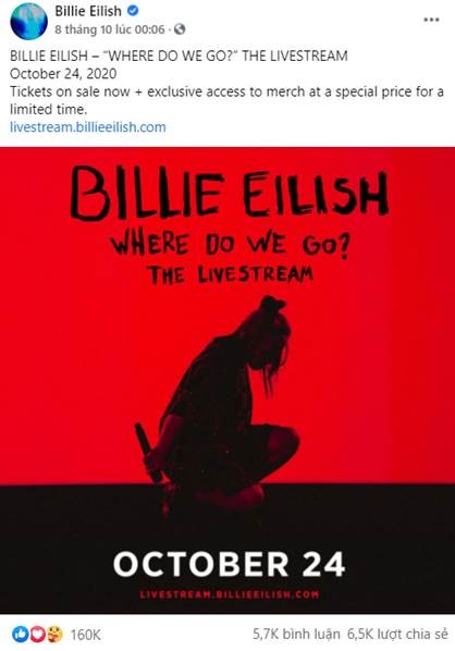 Các fan đã “săn” vé miễn phí xem Livestream Concert “Where do we go” (Billie Eilish) chưa? ảnh 2