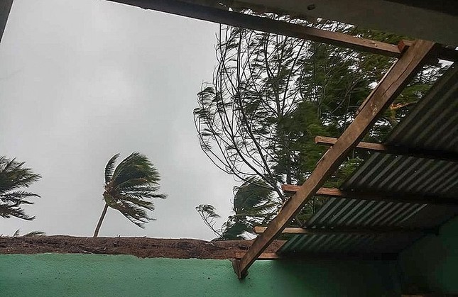 Sau 11 năm, người dân Lý Sơn (Quảng Ngãi) lại vất vả chống cơn bão lịch sử ảnh 4