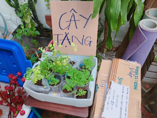 Chợ phiên Tháng Mười Hai: Thiên đường cho những tâm hồn yêu môi trường và mê đồ organic ảnh 8
