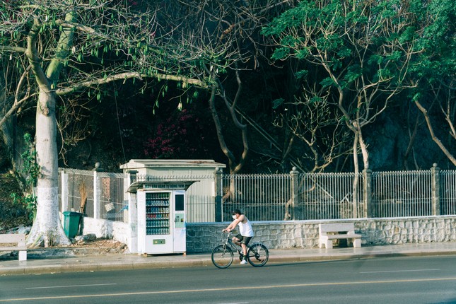 Những góc sống ảo “gây thương nhớ” ở Vũng Tàu khiến các bạn trẻ không thể rời mắt ảnh 2