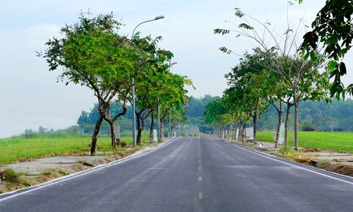 Giải mã cơn sốt gom mua đất bằng mọi giá của người Việt ảnh 1