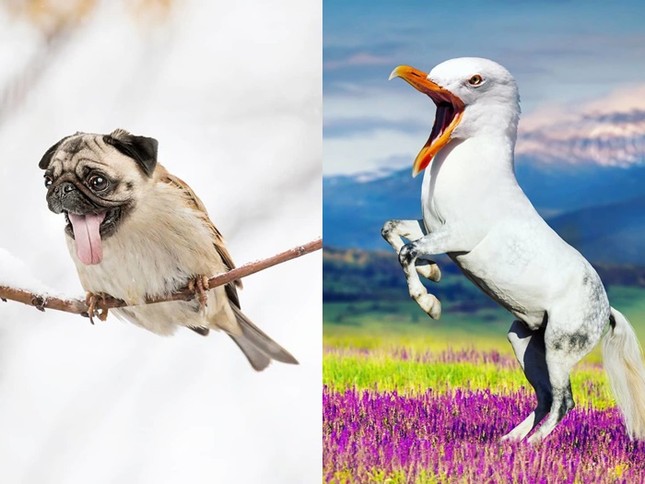 "Người ấy là ai" phiên bản có 1-0-2, đảm bảo bạn sẽ cười lăn cho xem! ảnh 4