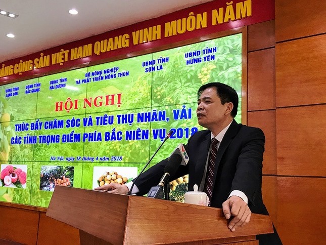 Lên kịch bản tiêu thụ vải, nhãn ảnh 1
