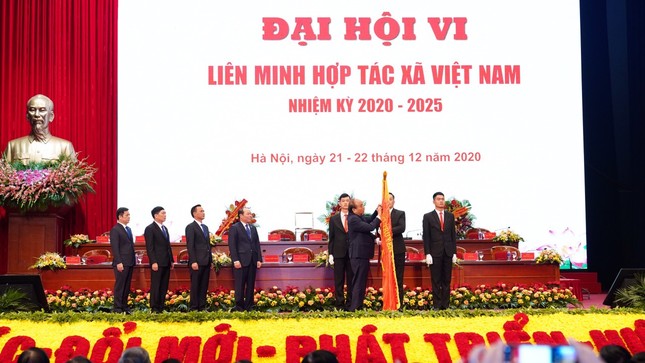 Thủ tướng: Sẽ kịp thời tháo gỡ khó khăn để các hợp tác xã phát triển bền vững ảnh 1