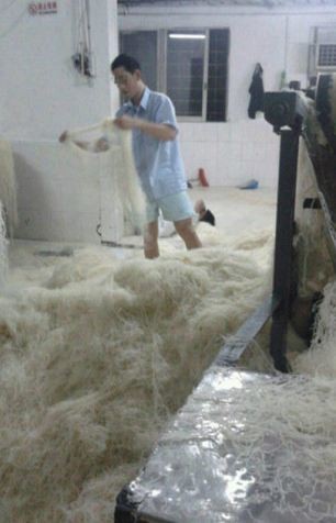 Kinh hãi cảnh sản xuất mỳ sợi ở Trung Quốc ảnh 3
