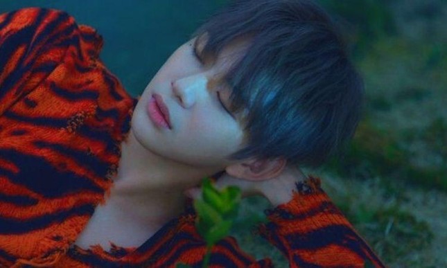 Kang Daniel bị K-net đồng loạt mỉa mai "tông điếc" dù liên tiếp thắng tại các show ca nhạc ảnh 2