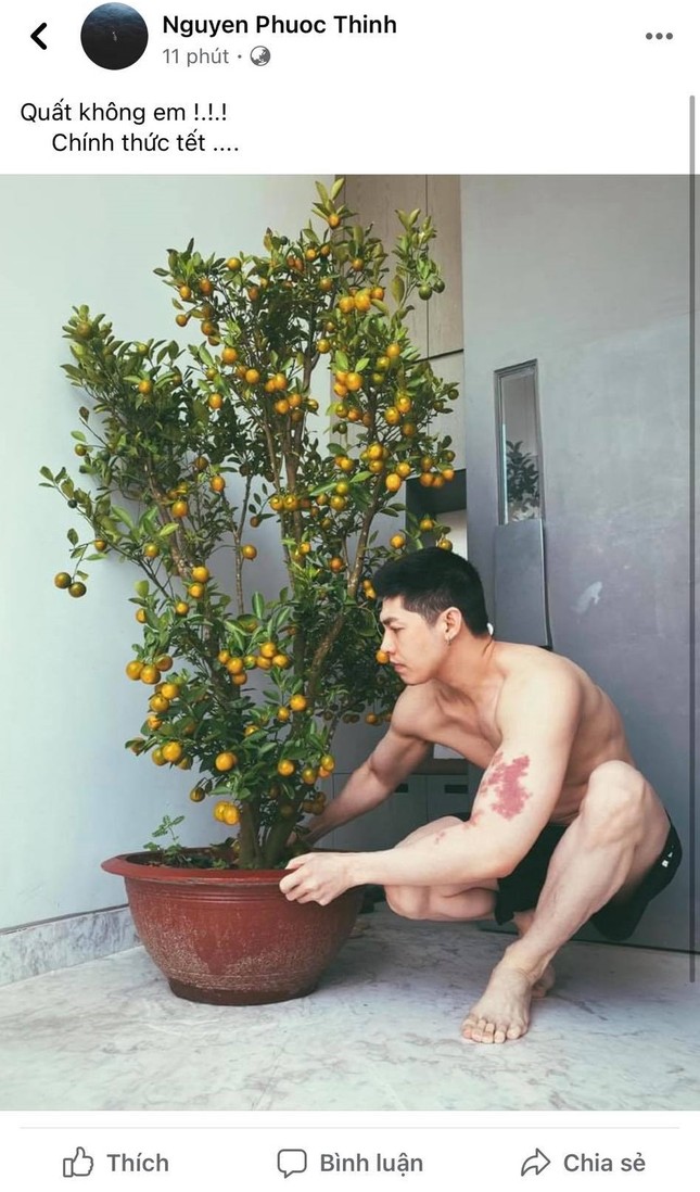 Góc éo le: Noo Phước Thịnh khoe cây quất mới mua nhưng ai cũng tập trung vào body 6 múi ảnh 1