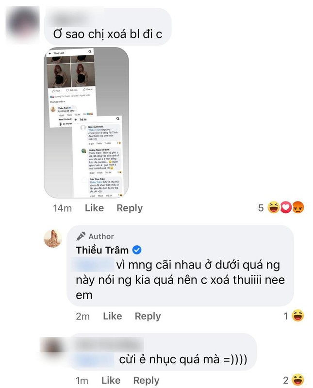 Tlinh phản ứng ra sao khi Thiều Bảo Trâm phải xóa bình luận vì bị anti-fan tấn công? ảnh 3
