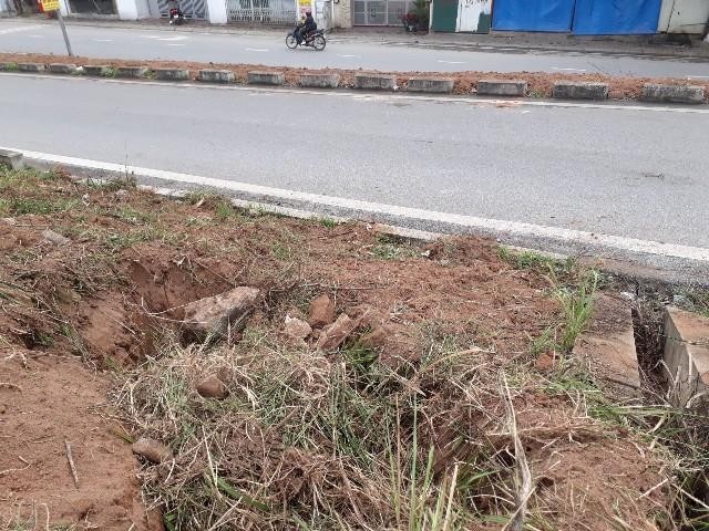 Đào hàng loạt hố, chôn lấp rác vào thân đê sau chỉnh trang ảnh 3