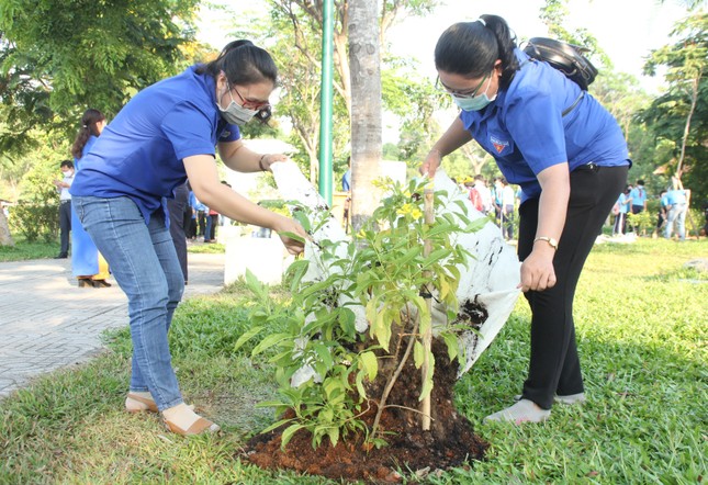 Bạn trẻ thành phố Thủ Đức ra quân trồng hàng ngàn cây xanh ảnh 5