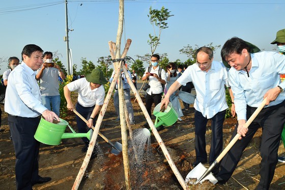 Bạn trẻ thành phố Thủ Đức ra quân trồng hàng ngàn cây xanh ảnh 1