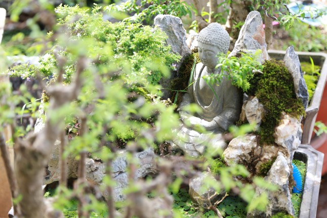 Tạo vườn tiểu cảnh tượng Phật trên sân thượng ngôi nhà ở Sài Gòn ảnh 5