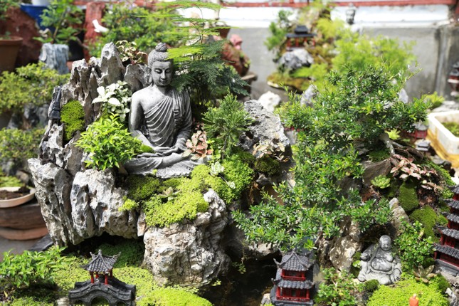 Tạo vườn tiểu cảnh tượng Phật trên sân thượng ngôi nhà ở Sài Gòn ảnh 3