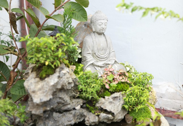 Tạo vườn tiểu cảnh tượng Phật trên sân thượng ngôi nhà ở Sài Gòn ảnh 6