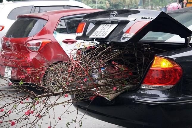 Người dân chở đào, quất về quê đón Tết, đường phố Hà Nội tê liệt ảnh 7