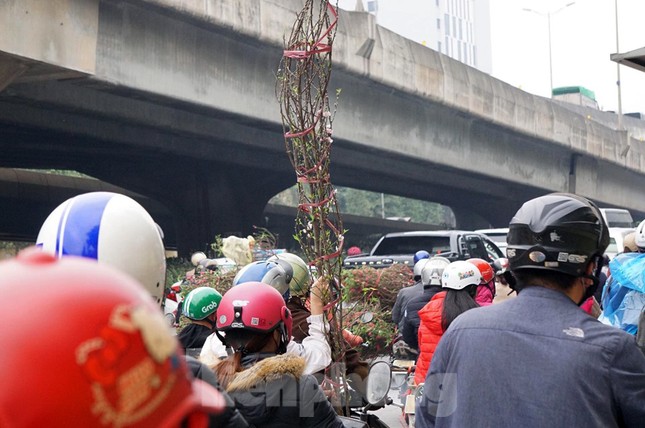Người dân chở đào, quất về quê đón Tết, đường phố Hà Nội tê liệt ảnh 9