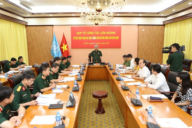 Ra mắt Tổ liên ngành tham gia gìn giữ hòa bình ảnh 1