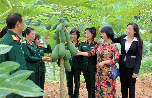 Phụ nữ Quân đội hành động vì bình đẳng giới ảnh 1