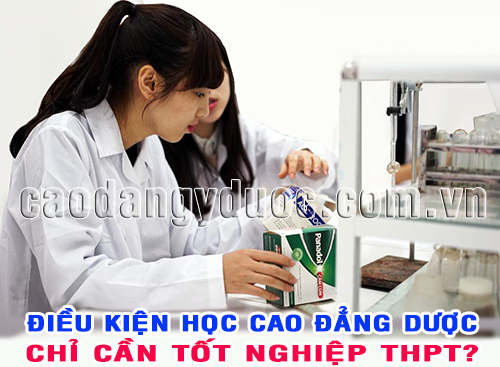 Cứ học Cao đẳng Dược Hà Nội sẽ có việc nhàn, lương cao? ảnh 3