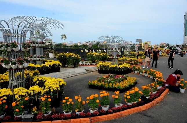 Du lịch xứ “Hoa vàng cỏ xanh” mở đầu năm mới đầy ấn tượng ảnh 2