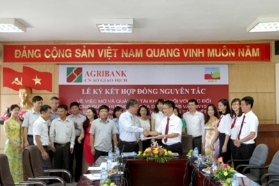 Agribank – Ngân hàng chủ lực trên thị trường hoạt động kinh doanh đối ngoại ảnh 2