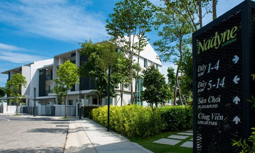 Thiên nhiên Parkcity – Nguồn cảm hứng bất tận của hội họa ảnh 2