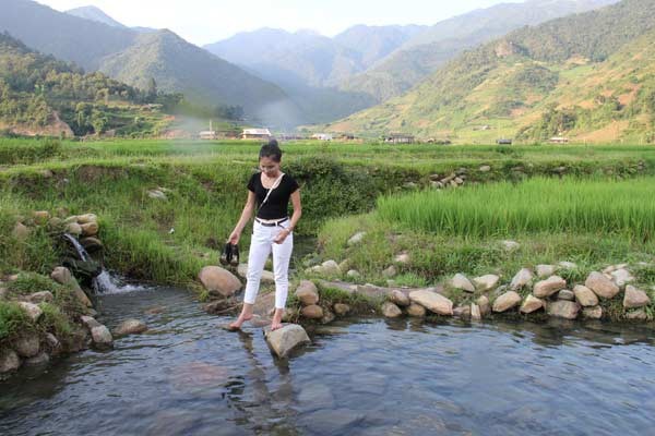 Ước vọng về một làng du lịch trên rừng thông Nậm Khắt ảnh 1