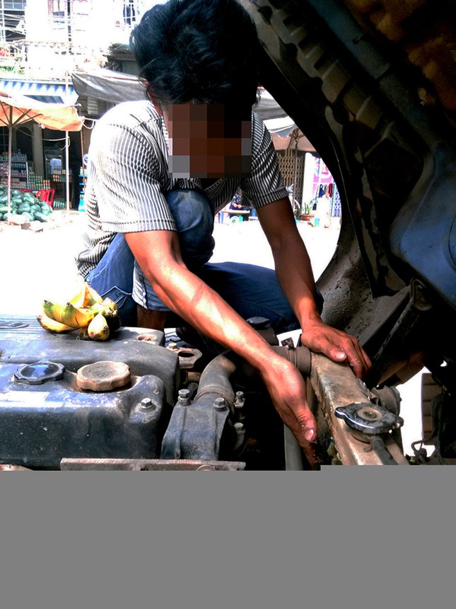 Theo đại xa điều tra phá rừng ảnh 2