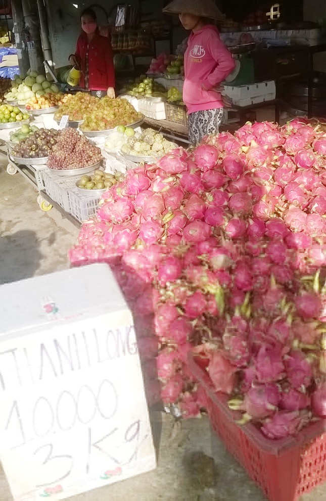 Ồ ạt trồng, thanh long rớt giá thảm ảnh 1