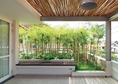 Biến sân thượng thành khu vườn xanh ngắt ảnh 3