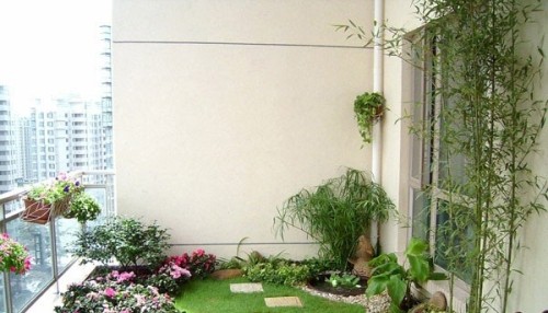 Biến sân thượng thành khu vườn xanh ngắt ảnh 7