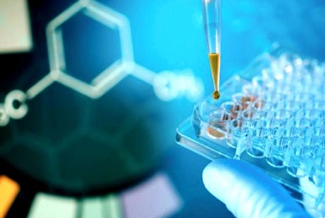 Loài người dệt mộng trường sinh trong 10 năm tới ảnh 3