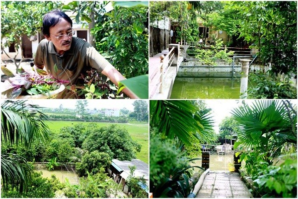 Cuộc sống viên mãn của Giang Còi - Quang Tèo ảnh 7